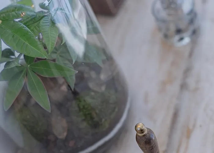 Les Du Chateau Ferienhaus *